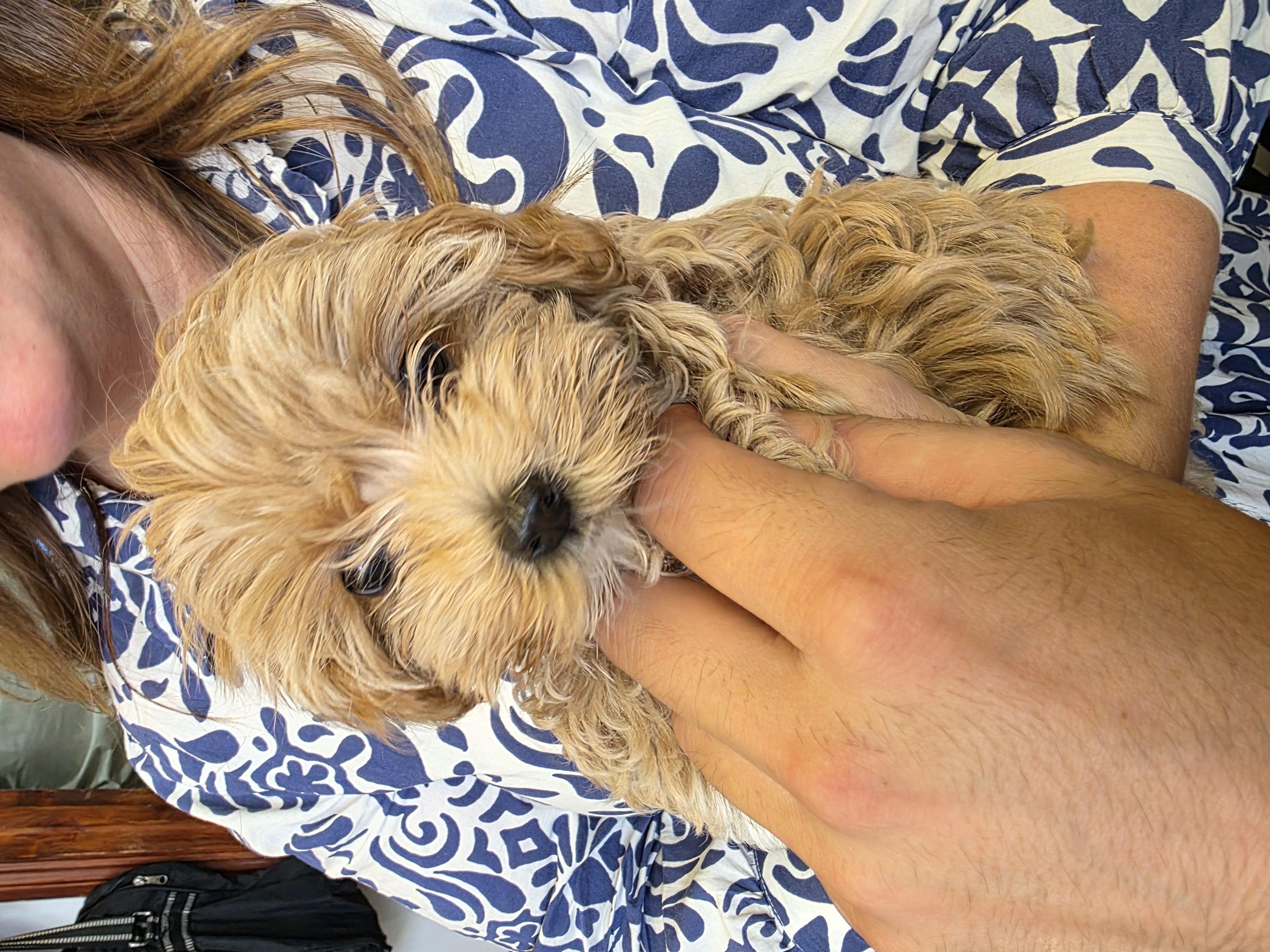 Hair styling by Jerry Nolan