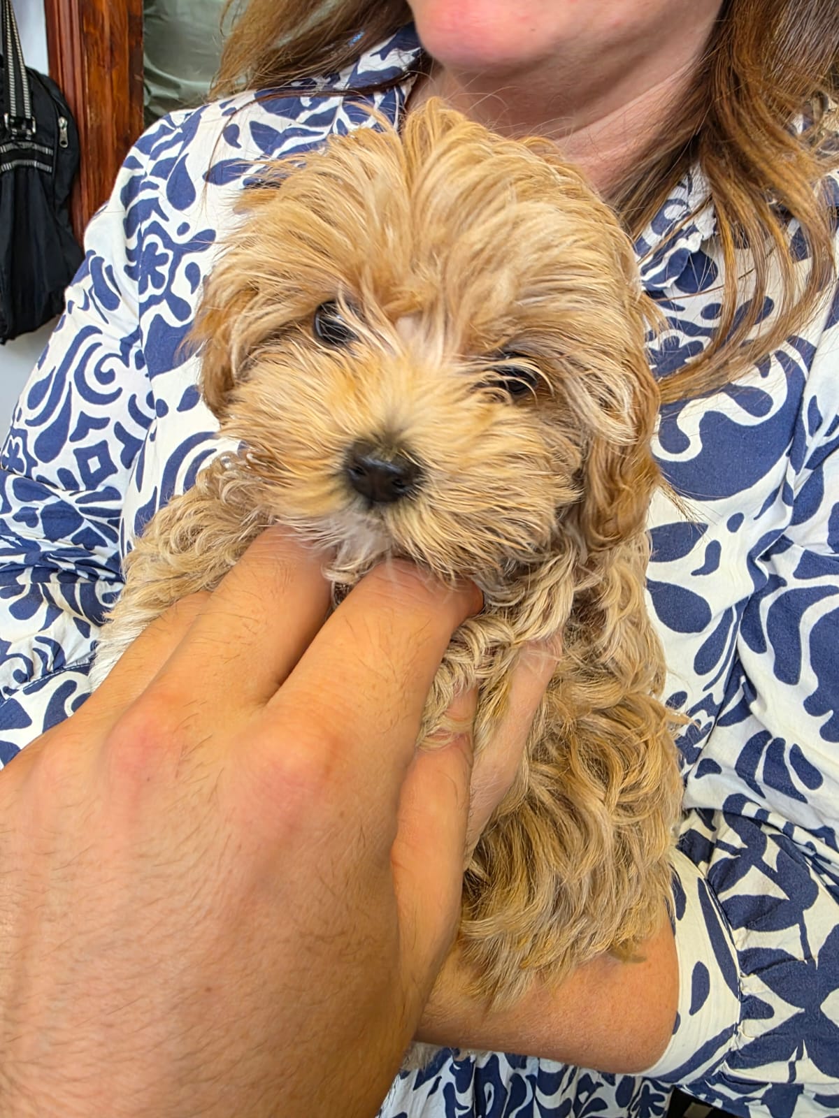 Hair styling by Jerry Nolan